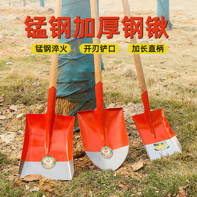 农业工具铁锹钢锹头农用