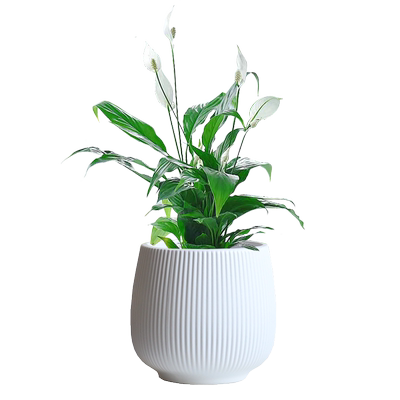 简约陶瓷花盆轻奢白色大号ins