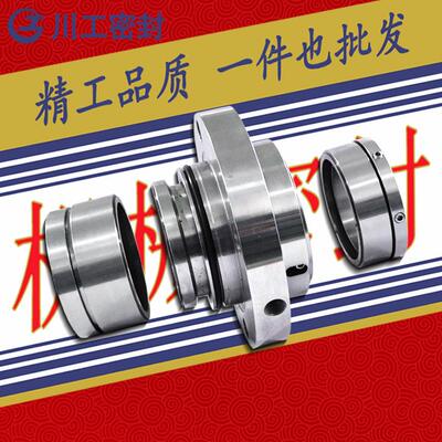 Mechanical seal SE2-AP-80-QREQ-305169 散件机械密封