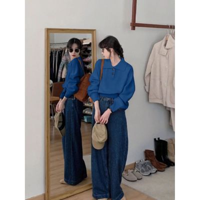 高级感蓝色polo领长袖针织打底衫女秋冬宽松优雅短款毛衣内搭