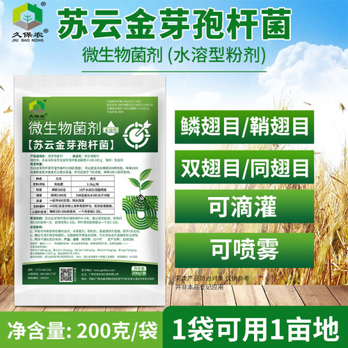 苏云金芽孢杆菌侵染虫卵幼虫