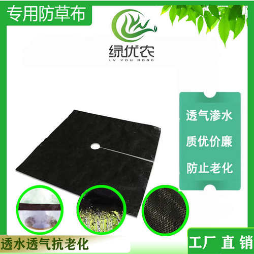 三到五年编织果园防湿透发布保温草透气抗老化布草厂家直保防水
