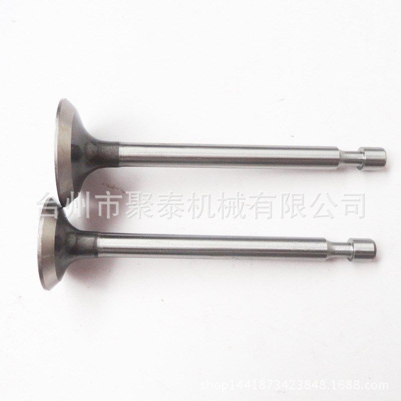 汽油发电机配件 发动机配件RGX3500进排气门 EY28气门