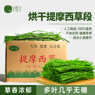 宠物兔草烘干提摩西草荷兰猪龙猫豚鼠专用兔子草天然晒干牧草兔粮