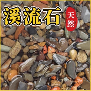 鱼缸底砂造景沙石摆件铺底天然溪流石乌龟缸石火山石专用石头小号