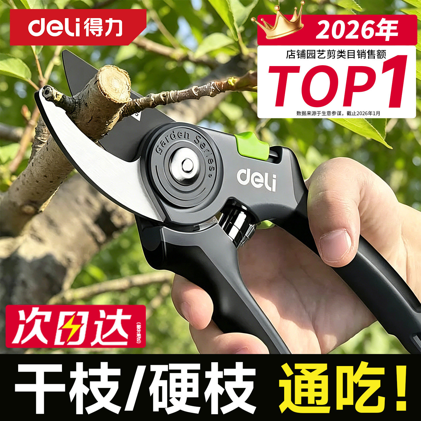 得力修剪树枝专用剪刀修枝剪刀园林花艺果树剪刀花剪园艺花卉剪子