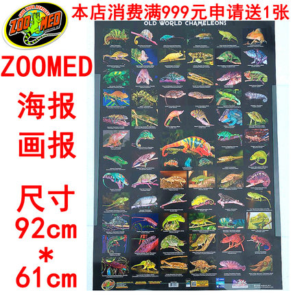 ZOOMED海报画报陆龟水龟蜘蛛蜥蜴蛇守宫睫角变色龙鱼画报宣传海报