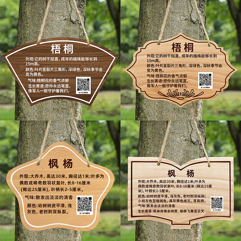 树牌挂牌订制亚克力植物树木名称牌吊牌公园景区小区绿植介绍简介牌