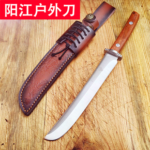 德国进口合金水果刀锋利西瓜刀不锈钢刃具生存直刀M390粉末钢猎刀