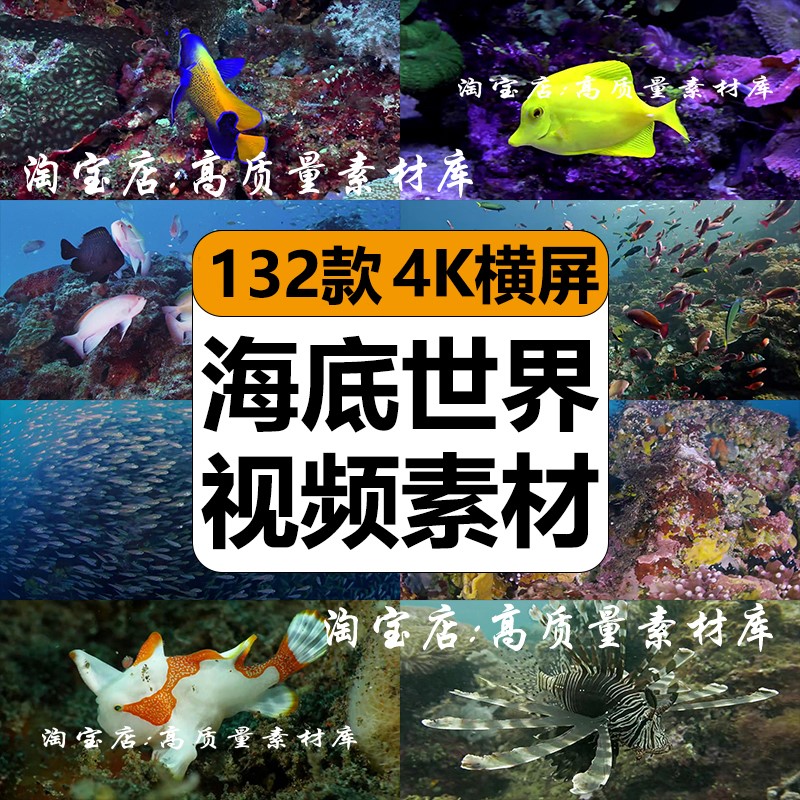 4K海洋世界纪录片海底实拍生物鱼群动物珊瑚高清LED背景视频素材