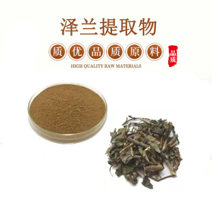 泽兰提取物20:1 泽兰水溶粉 浓缩粉