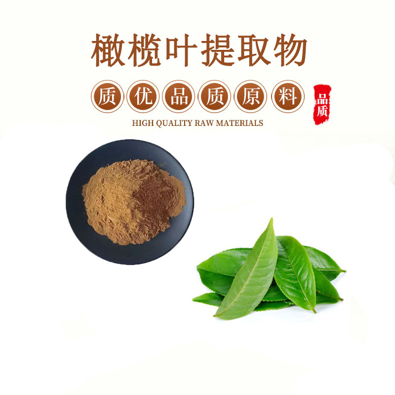 橄榄叶提取物 30:1 油橄榄叶苦甙20%  包邮送量勺