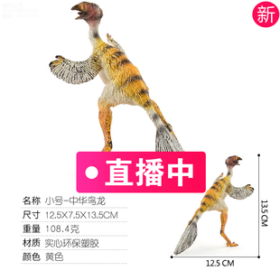 小号实心中华鸟龙 塑胶恐龙模型 限量版 白垩纪食肉恐龙摆件玩偶
