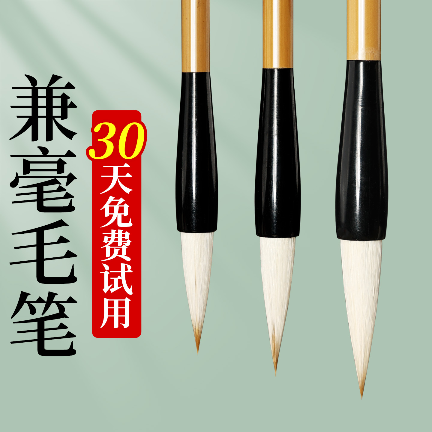 【30天免费试用】初学者兼毫毛笔