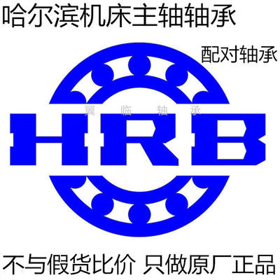 HRB哈尔滨精密丝杠轴承7602017TN/P4DBB 带法兰FL760203 BSA203