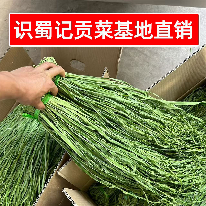 识蜀记贡菜基地直销8斤商用云南大理精选贡菜干农家自晒火锅凉菜