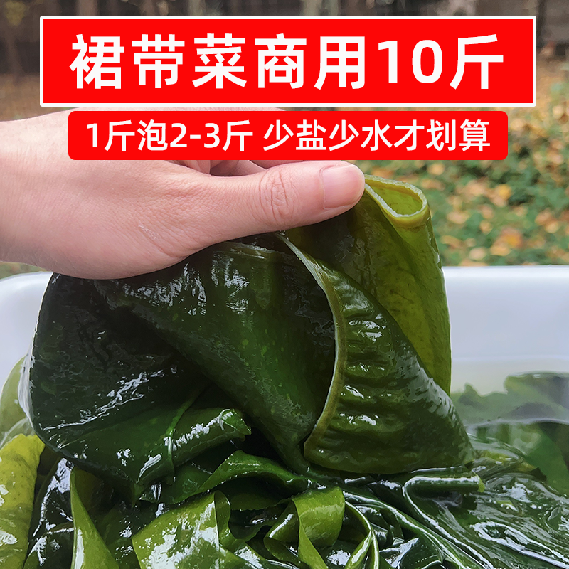 当季新菜盐渍裙带菜10斤半干整箱非纯干货凉拌麻辣烫火锅食材商用,水产肉类/新鲜蔬果/熟食,裙带菜,淘宝优惠券,粉丝福利购,淘宝优惠卷