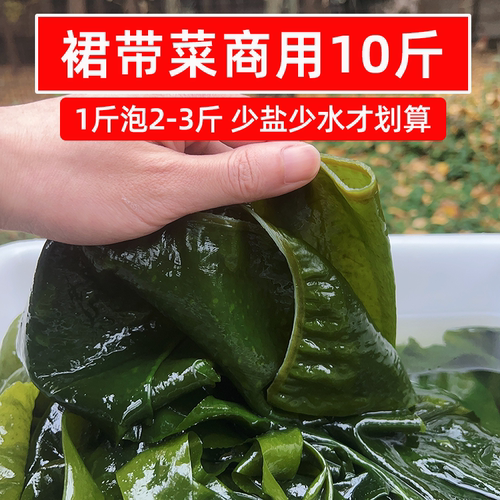 当季新菜盐渍裙带菜10斤半干整箱非纯干货凉拌麻辣烫火锅食材商用
