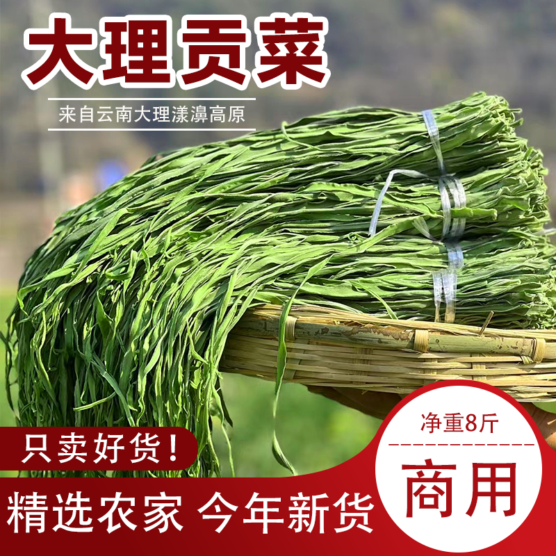 识蜀记大理贡菜干8斤净重一箱商用苔菜脆响云南贡菜新鲜脱水干菜