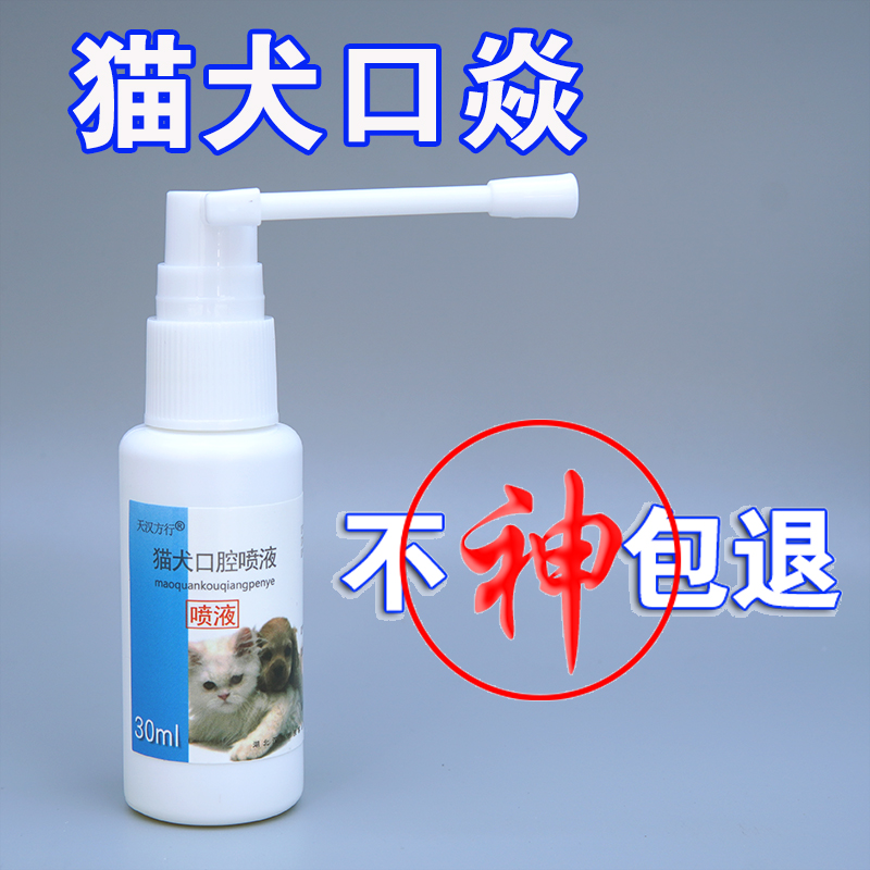 猫狗犬口腔喷液猫狗口炎口腔溃烂牙龈发红流口水口臭流涎进食困难