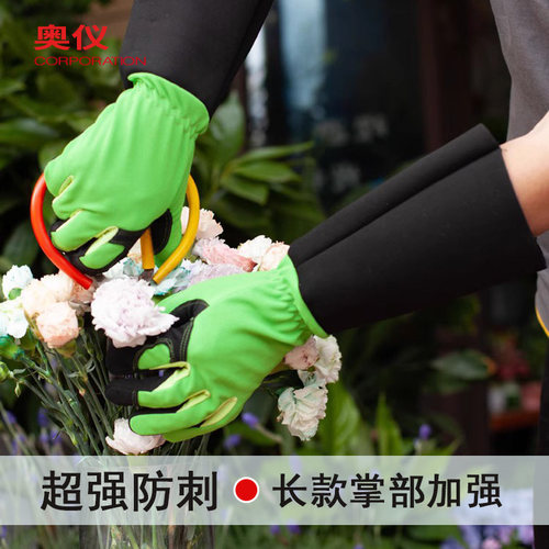 月季加厚园艺手套玫瑰