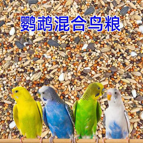 混合鸟粮鸟食鸟料中小型鹦鹉饲料玄凤牡丹五色黍子食物黄谷子带壳