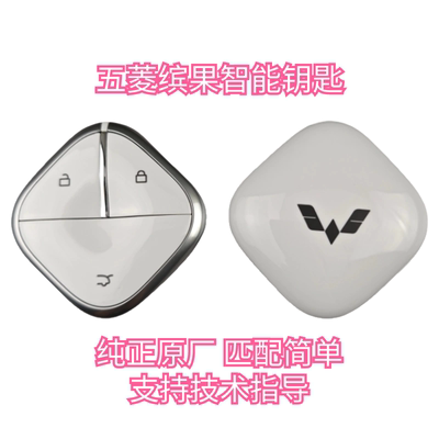 适配五菱缤果智能钥匙宏光mini四代汽车遥控智能钥匙增加备用钥匙