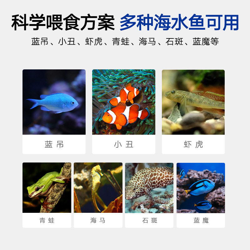 maytra美彩海水鱼专用大蒜绿藻增色饲料缓沉性小颗粒小丑鱼黄金