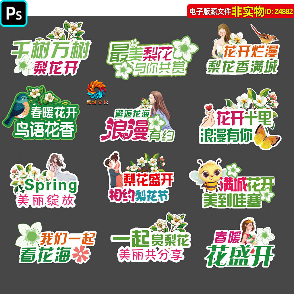 梨花节手举牌春天赏花梨花节拍照道具异形kt板手持相框合影牌素材