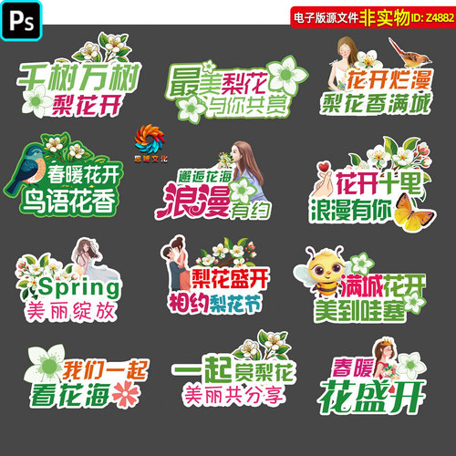 梨花节手举牌春天赏花梨花节拍照道具异形kt板手持相框合影牌素材
