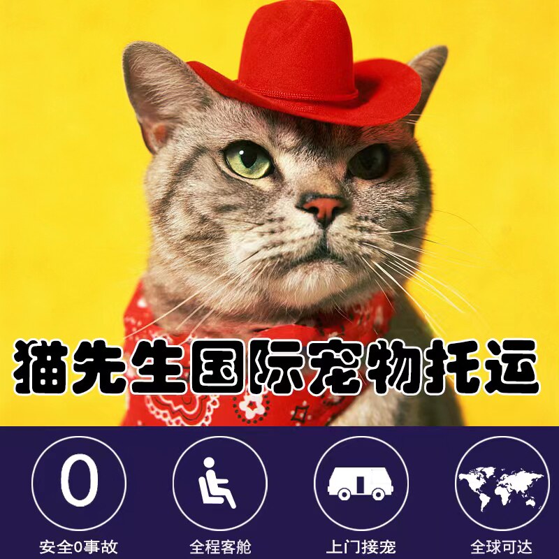 国际宠物托运服务狗猫出国单独回国血清报告出境美国韩国加拿大