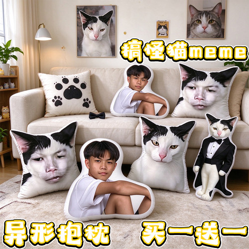 王之蔑视搞笑猫咪兵长抱枕靠垫