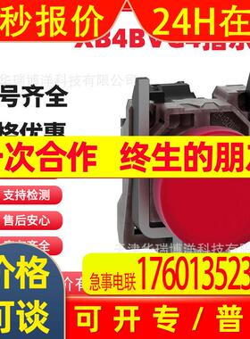 全新XB4BVG1 XB4BVG3 XB4BVG4 XB4BVG5指示灯带LED AC110-120V