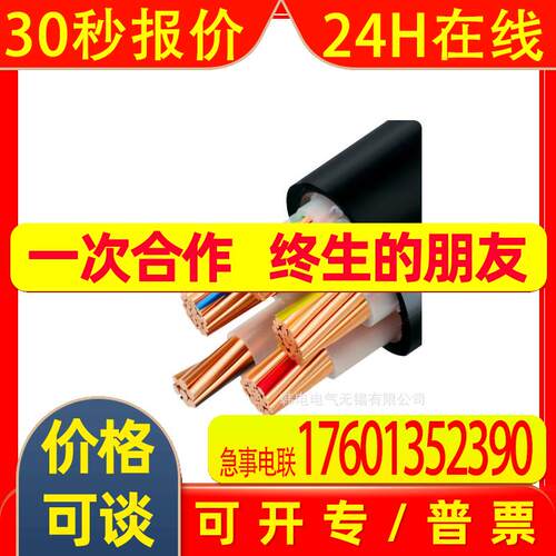 宝胜R级阻燃硬线缆 ZR-YJV-0.6/1kV-3X10+2X6 ZR-YJV--3X10+2X6