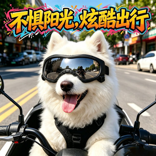 萨摩耶专用狗狗眼镜宠物墨镜小狗护目镜狗防风镜配饰大型犬防晒狗
