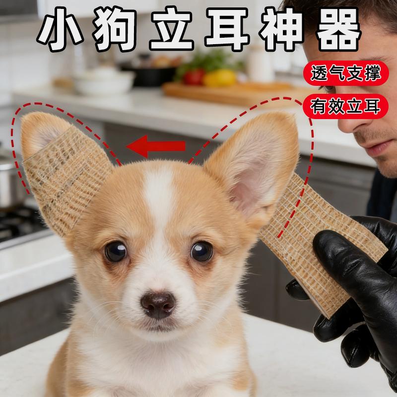 养猛犬防脱小狗立耳神器狗狗立