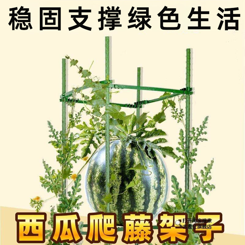 盆栽花卉支架桌面新型龟甲龙球