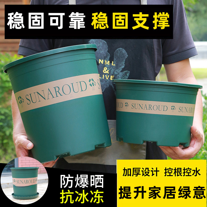 高款创意好看的文竹花盆轻奢高