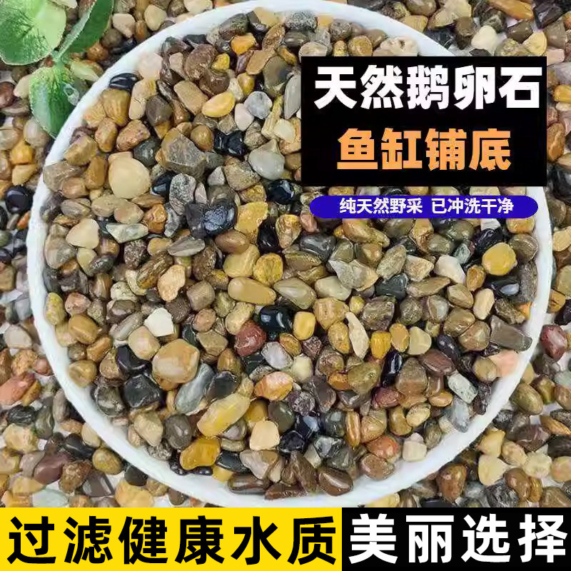 花盆上面的小石子鱼缸里的造景摆