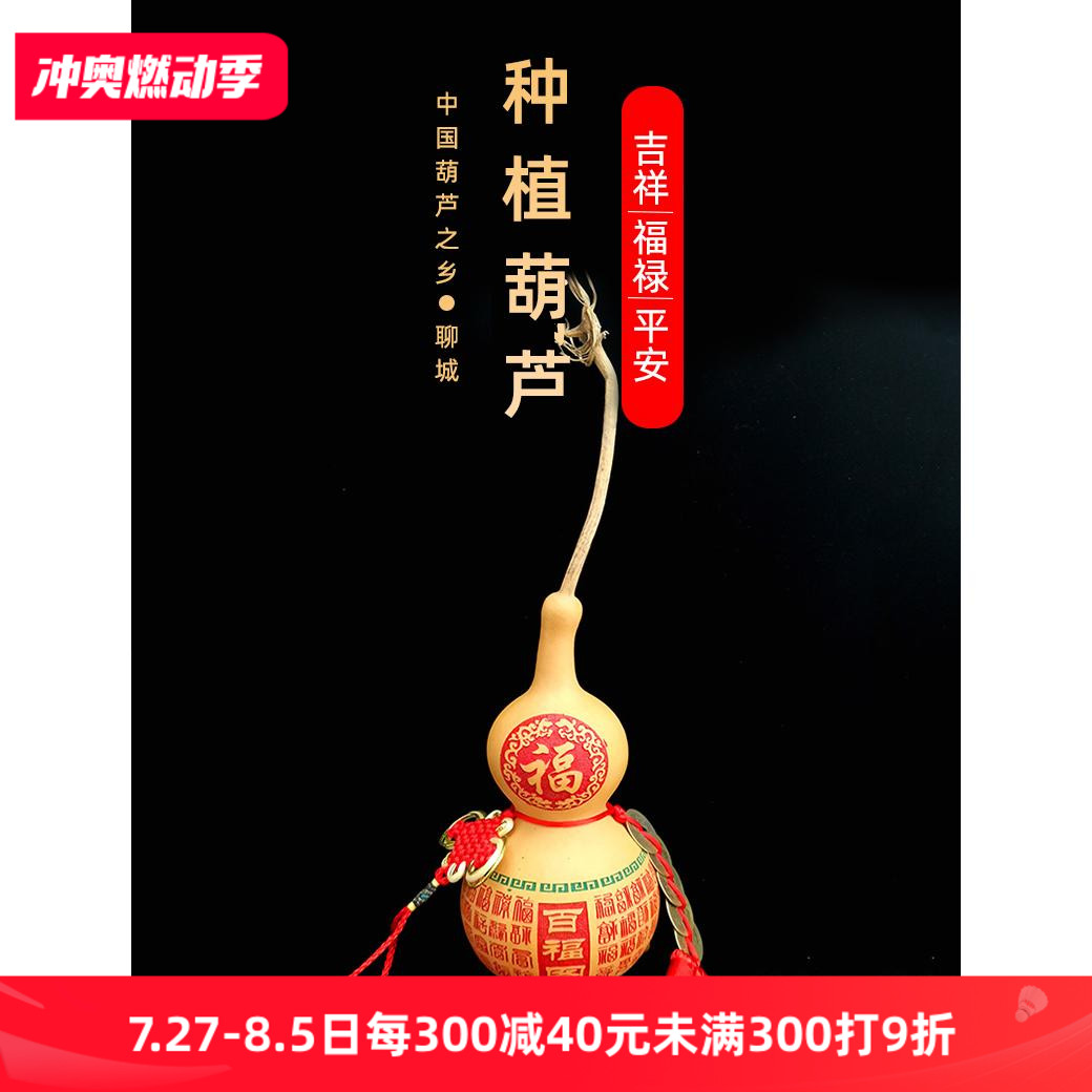 天然精品带龙头葫芦挂件五帝钱大号百福百财聚财厨房厕所镇宅摆件