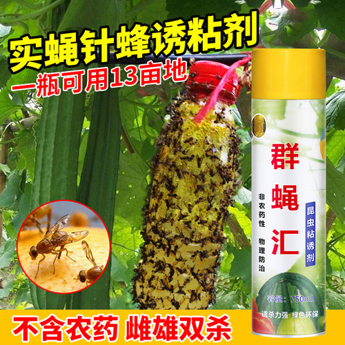 瓜果实蝇诱粘剂群蝇汇果蝇诱捕器