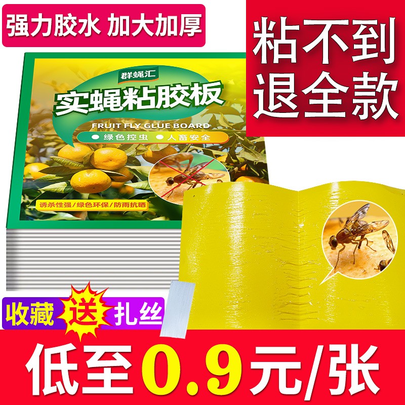 双面瓜果实蝇针蜂粘胶黄板