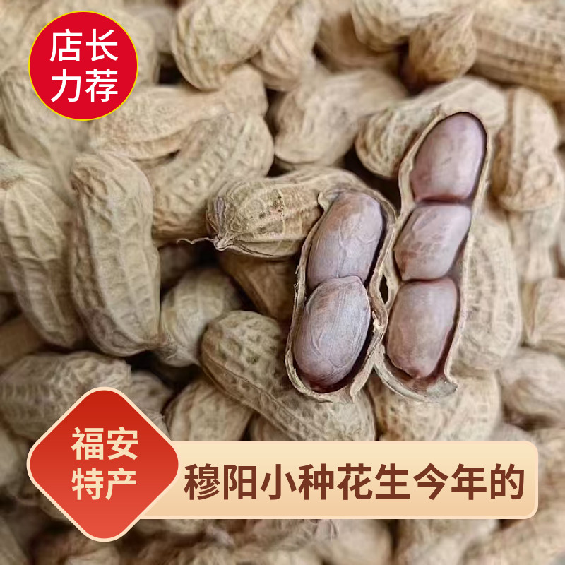 福建福安特产小种花生穆阳洋溪农家水煮花生盐水煮白晒淡咸干花生