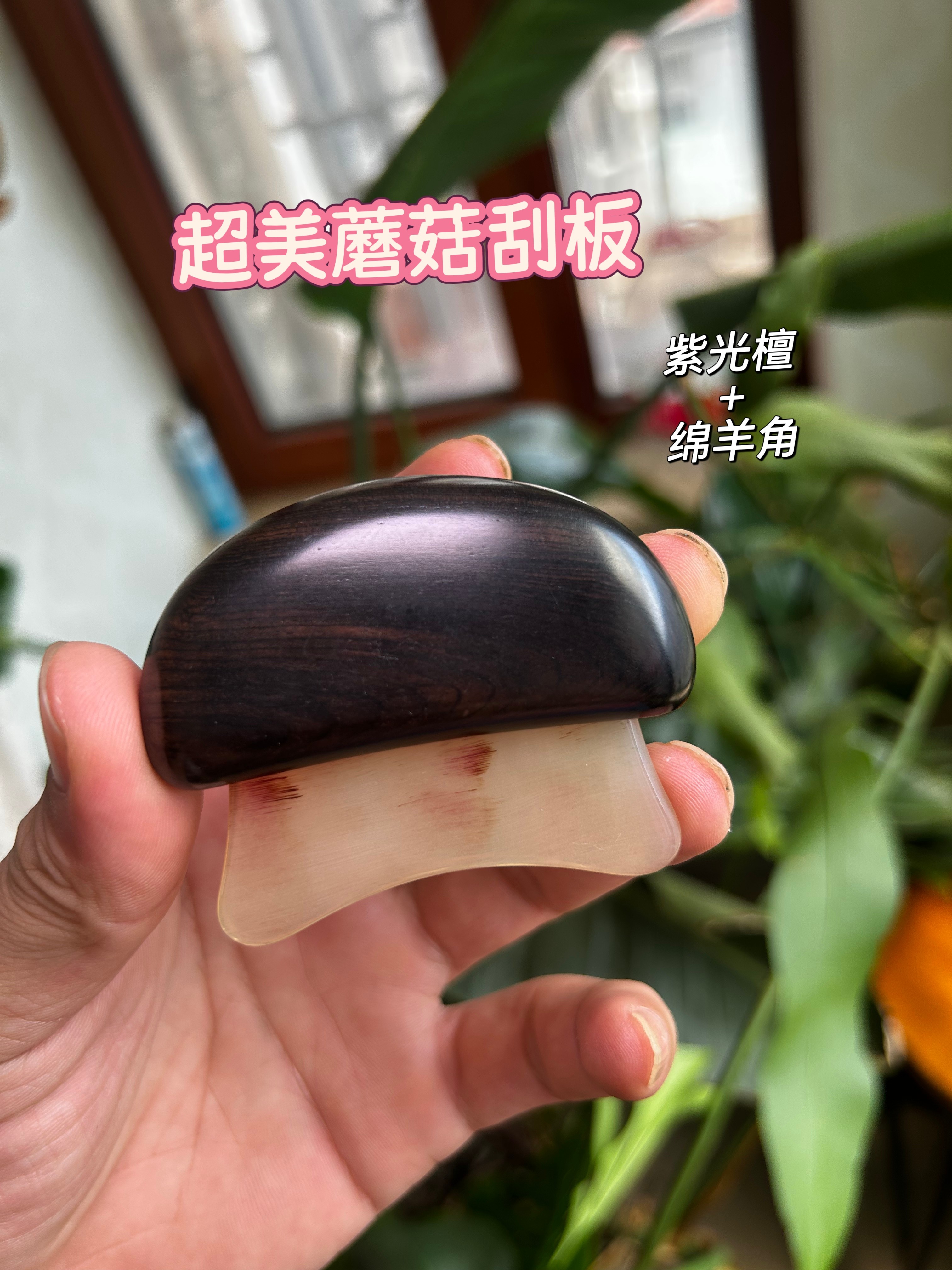 ［特惠］微瑕紫光檀蘑菇羊角刮痧板面部美容刮按摩拨筋肩颈刮板