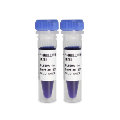Biosharp5*蛋白上样缓冲液