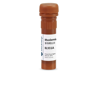 白鲨 Biosharp BL931A Rhodamine 123 罗丹明123