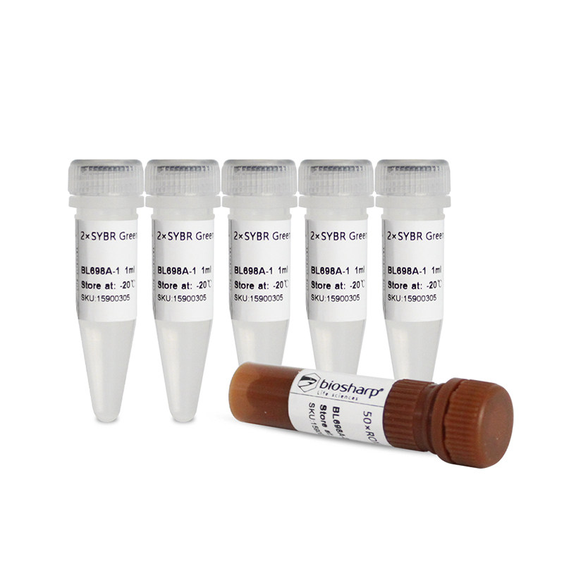 Biosharp白鲨 BL698A 荧光定量PCR试剂盒 SYBR Green qPCR Mix