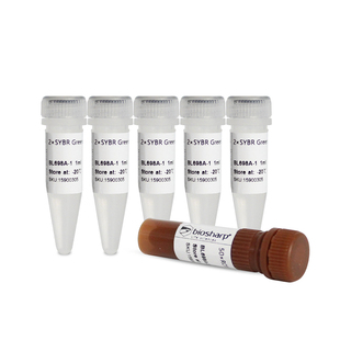 Biosharp白鲨 BL698A 荧光定量PCR试剂盒 SYBR Green qPCR Mix