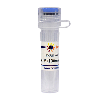 碧云天BeyoTime D7378 ATP (100mM, Nuclease free)