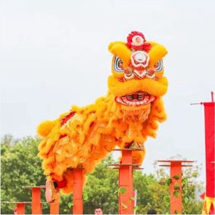舞狮道具整套成人双人全套舞龙舞狮子头澳洲羊毛醒狮标准南狮狮头